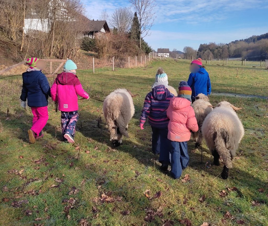 Kinder gehen gemeinsam mit den Schafen von Hof-Naturverbunden auf Entdeckungstour