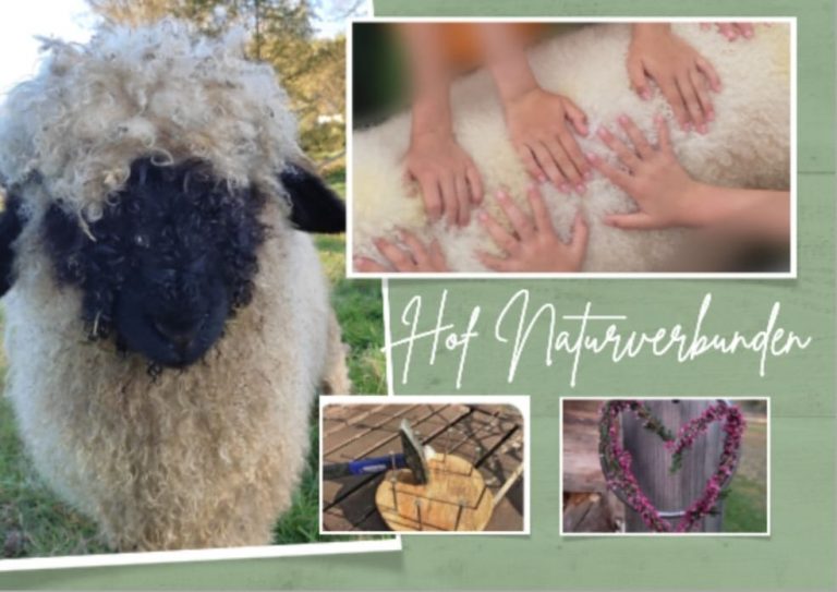 das Bild zeigt verschiedene Ausschnitte bei Hof-Naturverbunden