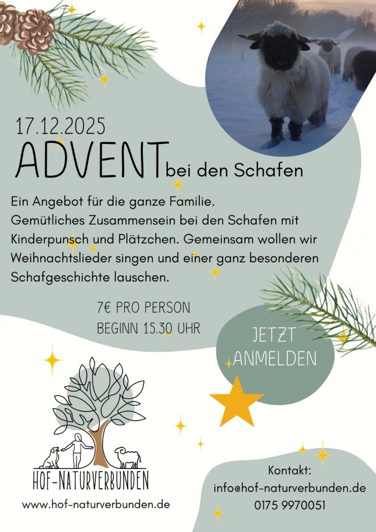 Advent bei den Schafen auf Hof Naturberbunden am 17.12.2025