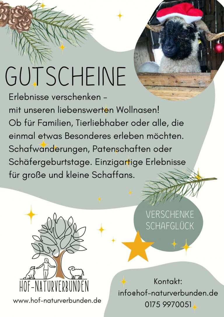 Es besteht die Möglichkeit Gutscheine zu erwerben für Schafwanderungen, Geburstage oder Tierpatenschaften