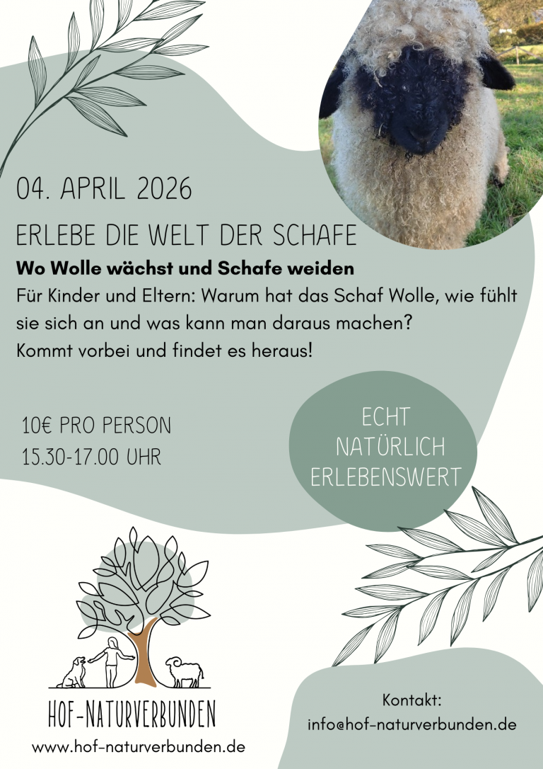 Ein Flyer für ein kommendes Angebot bei den Schafen für Kinder und Eltern