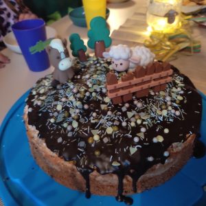 Geburtstagskuchen bei Schäfergeburtstag auf Hof-Naturverbunden