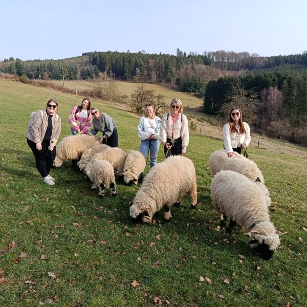 eine Gruppe junger Frauen stehen gemeinsam mit der Schafherde von Hof-Naturverbunden auf einer Wiese in der Natur im Sauerland