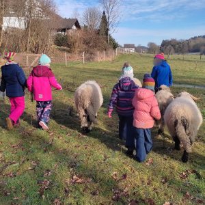 Kinder gehen gemeinsam mit den Schafen von Hof-Naturverbunden auf Entdeckungstour