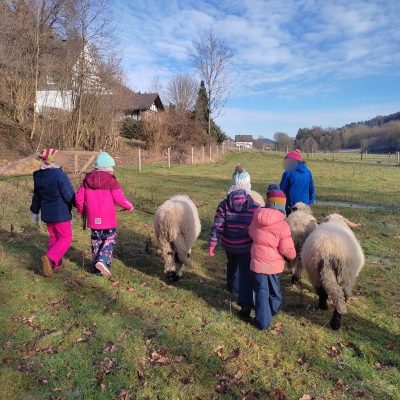Kinder gehen gemeinsam mit den Schafen von Hof-Naturverbunden