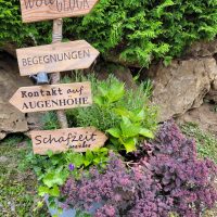 Ideen für Neues auf Hof-Naturverbunden