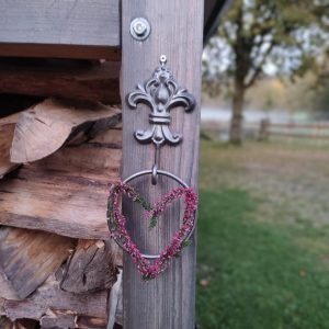 Impressionen bei Hof Naturverbunden