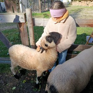 Kind mit Schaf in Kontakt bei Hof-Naturverbunden