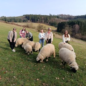 eine Gruppe junger Erwachsener stehen zusammen in einer Schafherde bei einer Wanderung von Hof-Naturverbunden