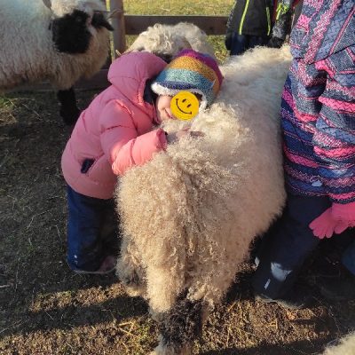 ein Kind legt den Kopf auf den Rücken eines Schafes und kuschelt sich mit dem Gesicht und den Händen in die Wolle. Es lächelt.